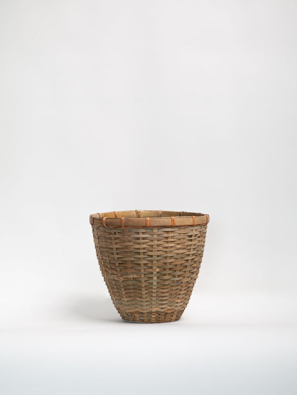 Bamboo